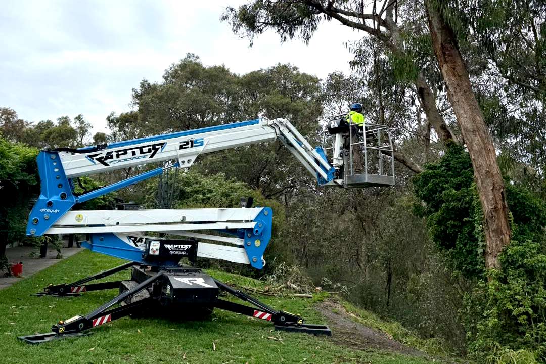 raptor 21s tree work